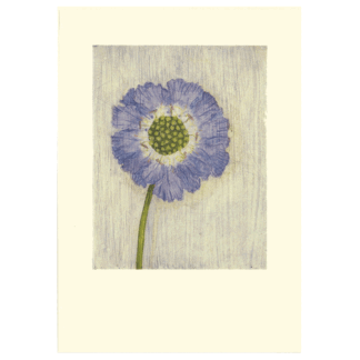 Single Scabious card by Melanie Epps