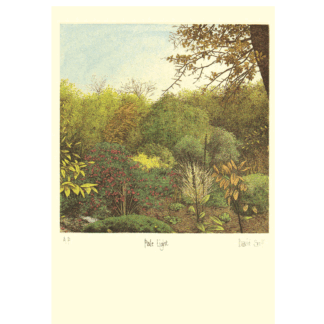 Pale Light card by David Suff