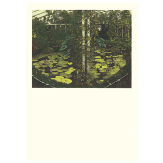 Lily House At Kew card by David Suff