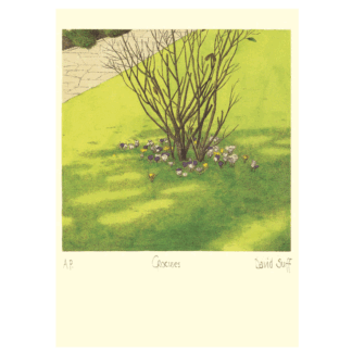 Crocuses card by David Suff