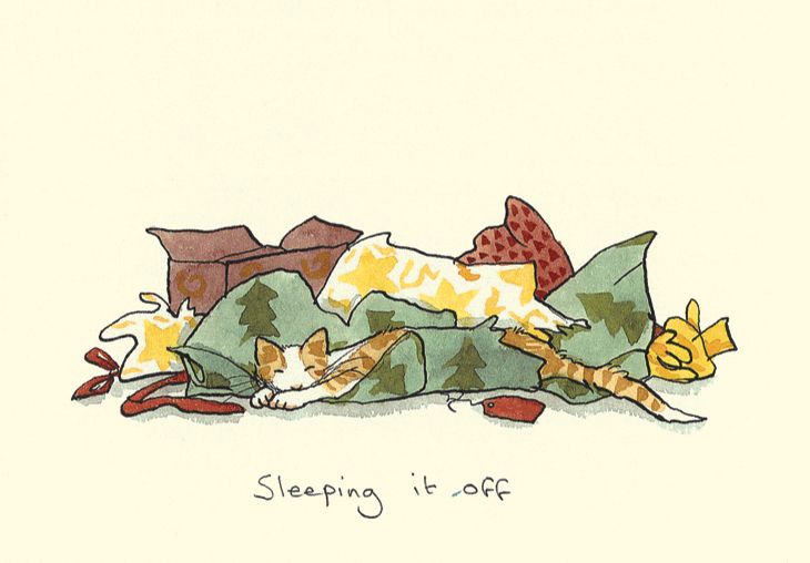 Sleeping it Off Card