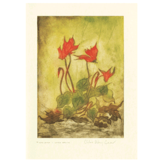 Cyclamen - Water Sprite Card