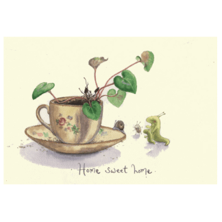 Home Sweet Home Card