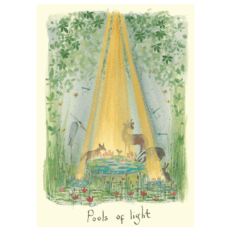 Pools of Light card