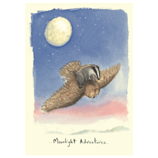 Moonlight Adventures