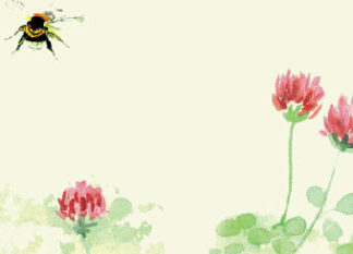 Red Clover Place Setting Cards