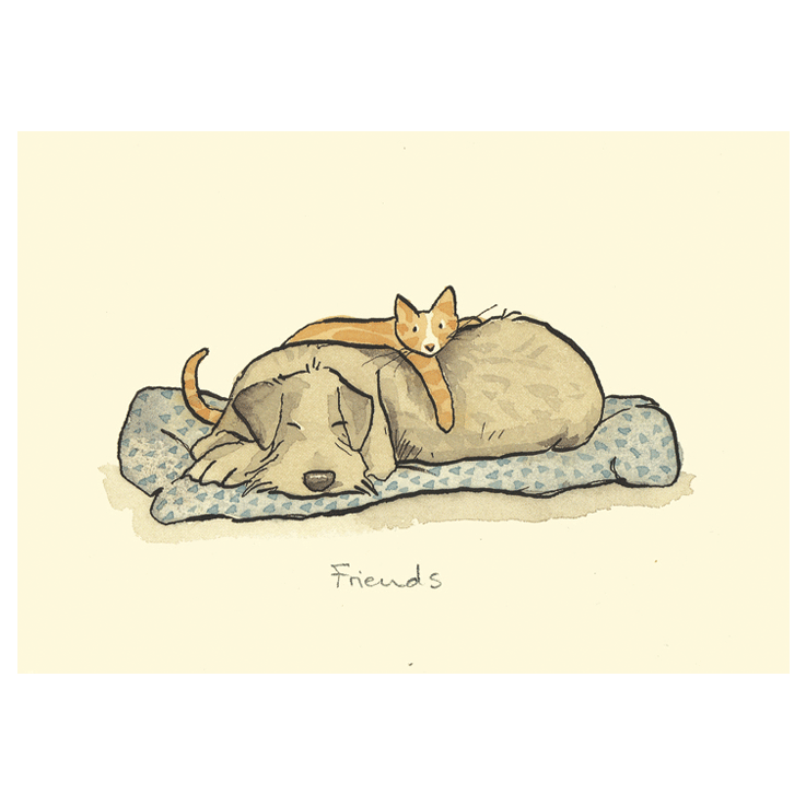 Cat & Dog