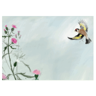 Golfinch on thistles