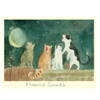 Moonlit Sonata