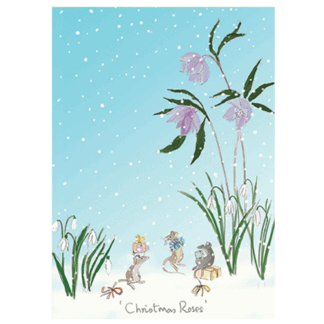 XJ19 Christmas Roses