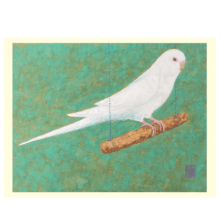 White Budgie Card