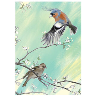 Chaffinch card