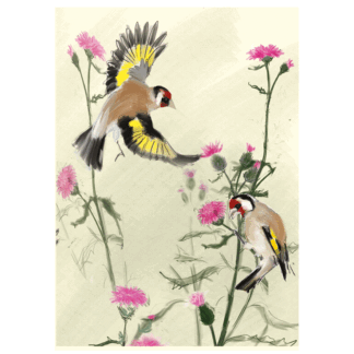 Goldfinch card