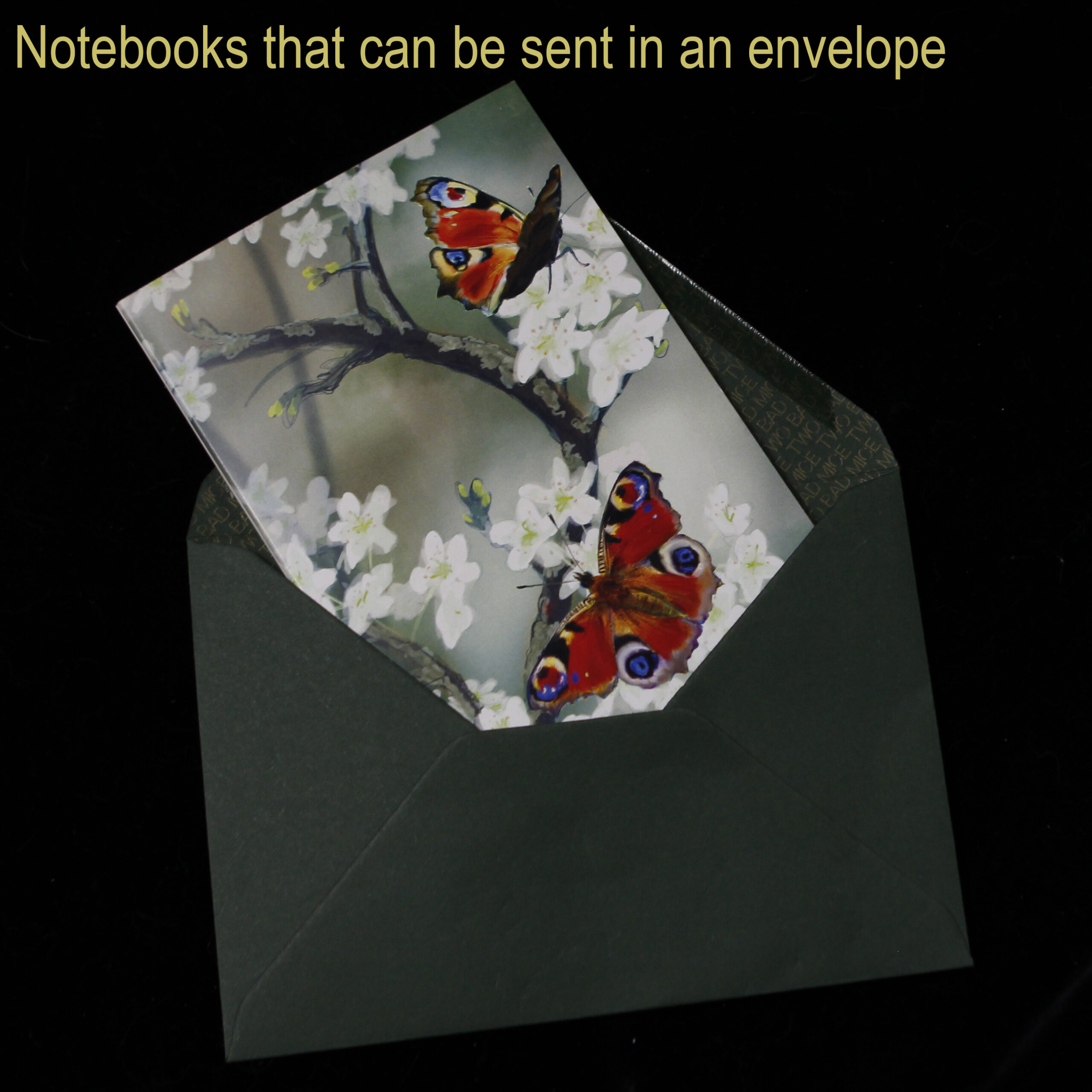 Red Admiral Nature Notebook